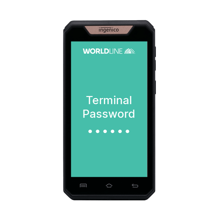 Terminal password